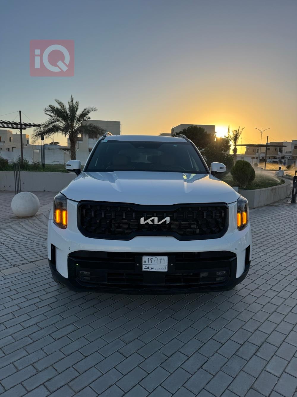 کیا تێلوراید